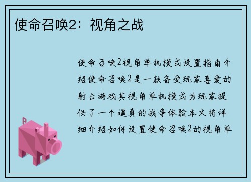 使命召唤2：视角之战